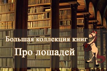 Книги про лошадей список
