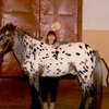 Алтайская лошадь