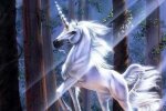 Единороги - прекрасные создания или адские звери? 