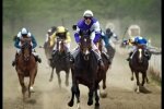 Виды конного спорта